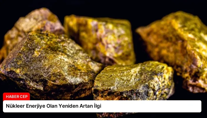Nükleer Enerjiye Olan Yeniden Artan İlgi