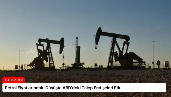 Petrol Fiyatlarındaki Düşüşte ABD’deki Talep Endişeleri Etkili