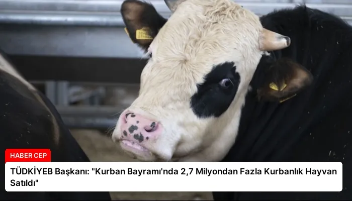 TÜDKİYEB Başkanı: “Kurban Bayramı’nda 2,7 Milyondan Fazla Kurbanlık Hayvan Satıldı”