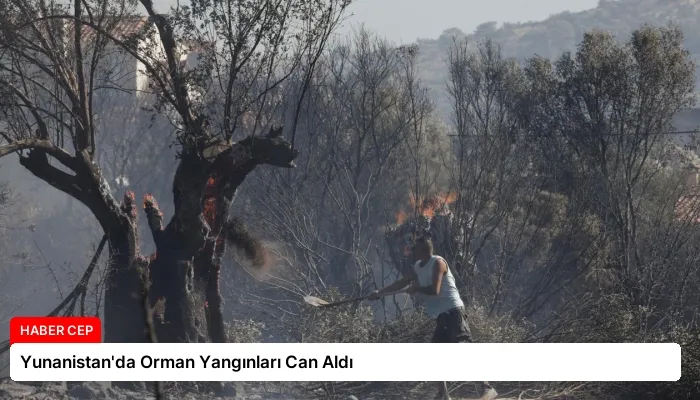 Yunanistan’da Orman Yangınları Can Aldı