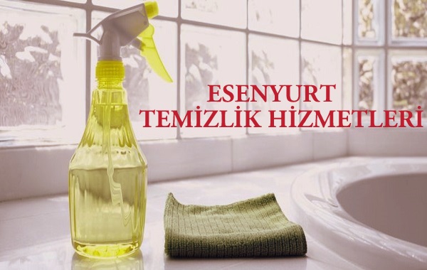 Esenyurt Temizlik Şirketi 