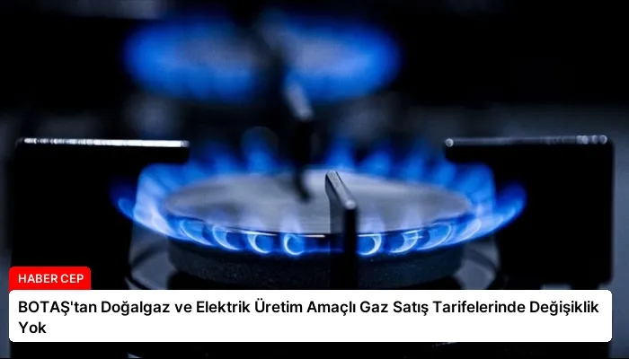 BOTAŞ’tan Doğalgaz ve Elektrik Üretim Amaçlı Gaz Satış Tarifelerinde Değişiklik Yok