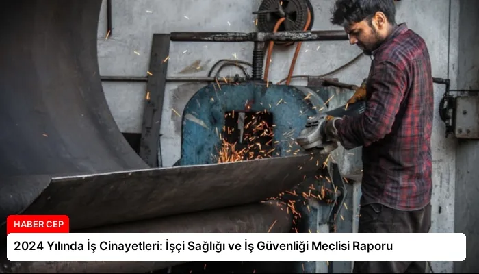 2024 Yılında İş Cinayetleri: İşçi Sağlığı ve İş Güvenliği Meclisi Raporu