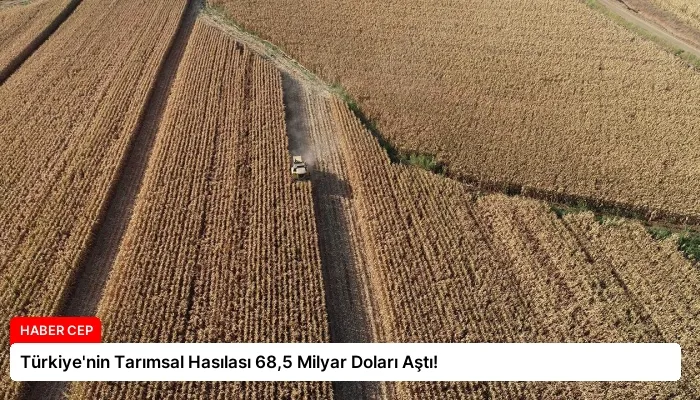 Türkiye’nin Tarımsal Hasılası 68,5 Milyar Doları Aştı!