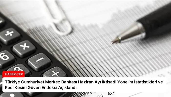 Türkiye Cumhuriyet Merkez Bankası Haziran Ayı İktisadi Yönelim İstatistikleri ve Reel Kesim Güven Endeksi Açıklandı