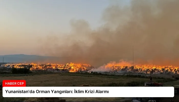 Yunanistan’da Orman Yangınları: İklim Krizi Alarmı