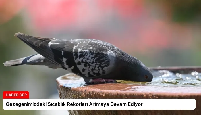 Gezegenimizdeki Sıcaklık Rekorları Artmaya Devam Ediyor
