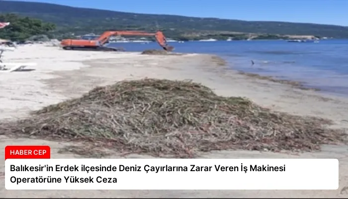 Balıkesir’in Erdek ilçesinde Deniz Çayırlarına Zarar Veren İş Makinesi Operatörüne Yüksek Ceza