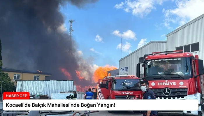 Kocaeli’de Balçık Mahallesi’nde Boğan Yangın!