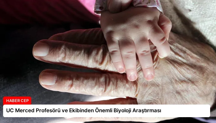 UC Merced Profesörü ve Ekibinden Önemli Biyoloji Araştırması