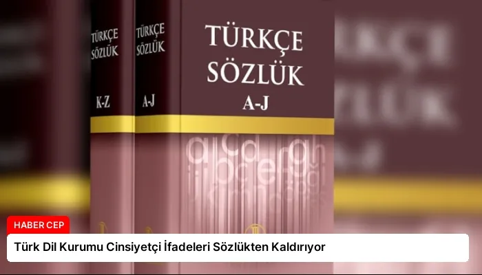 Türk Dil Kurumu Cinsiyetçi İfadeleri Sözlükten Kaldırıyor