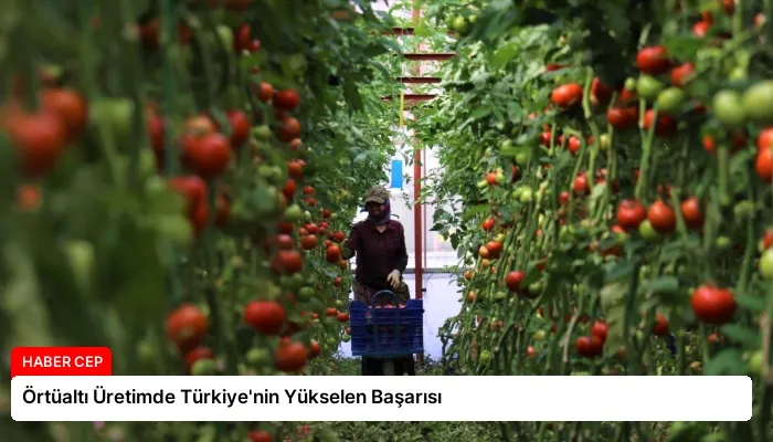 Örtüaltı Üretimde Türkiye’nin Yükselen Başarısı