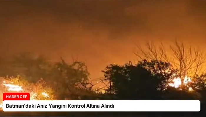 Batman’daki Anız Yangını Kontrol Altına Alındı