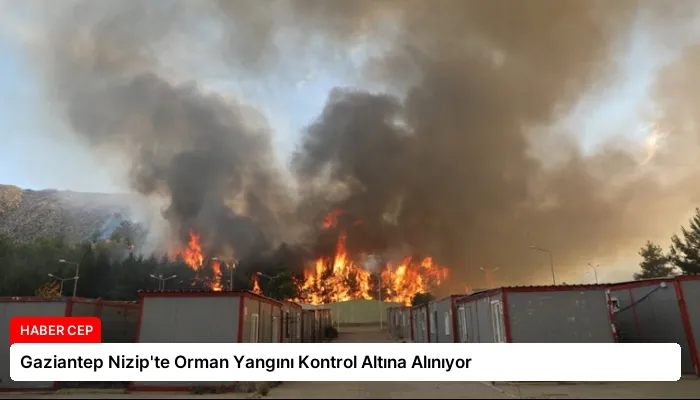 Gaziantep Nizip’te Orman Yangını Kontrol Altına Alınıyor