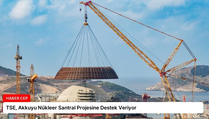 TSE, Akkuyu Nükleer Santral Projesine Destek Veriyor