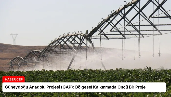 Güneydoğu Anadolu Projesi (GAP): Bölgesel Kalkınmada Öncü Bir Proje