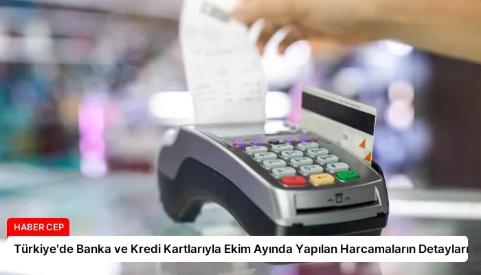Türkiye’de Banka ve Kredi Kartlarıyla Ekim Ayında Yapılan Harcamaların Detayları