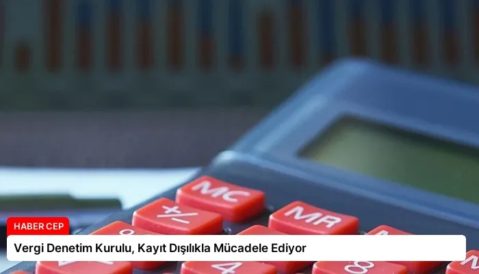 Vergi Denetim Kurulu, Kayıt Dışılıkla Mücadele Ediyor
