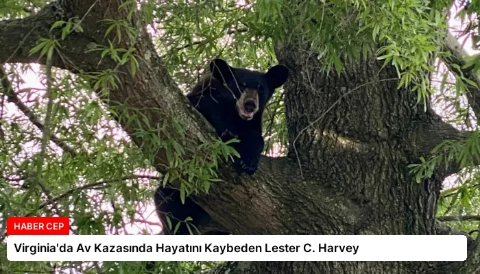 Virginia’da Av Kazasında Hayatını Kaybeden Lester C. Harvey