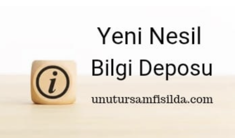 Unutursamfisilda.com: Bilgiyi Eğlenceli Hale Getiren Harika Bir Platform!