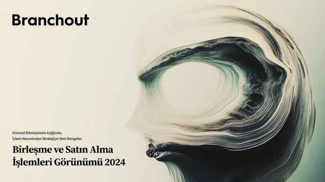 2024 M&A görünümü: Türkiye stratejik bir yatırım ülkesi olmaya devam etti