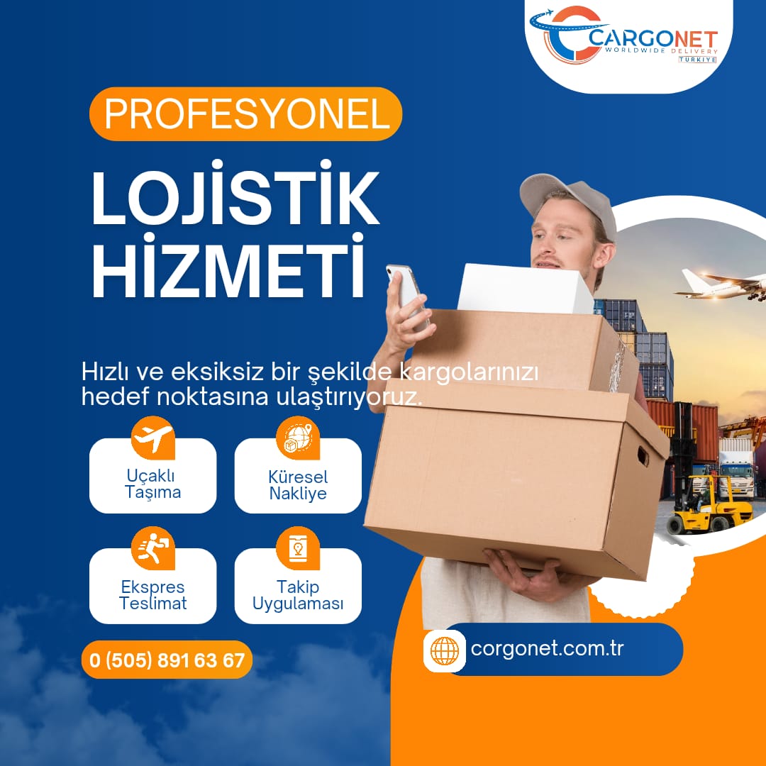 Gümrük Duvarlarını Aşmak: Profesyonel Çözümler