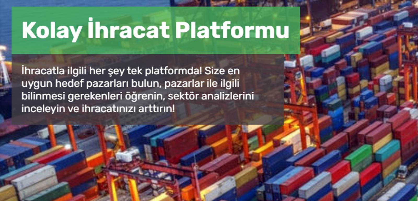 Dijital İhracat Rehberi Bilvio ile Globalleşmek Hiç Bu Kadar Hızlı Olmamıştı