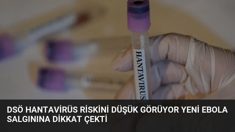 DSÖ Hantavirüs Riskini Düşük Görüyor Yeni Ebola Salgınına Dikkat Çekti