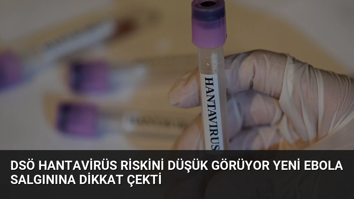DSÖ Hantavirüs Riskini Düşük Görüyor Yeni Ebola Salgınına Dikkat Çekti