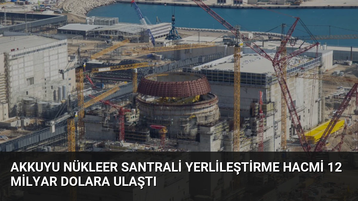 Akkuyu Nükleer Santrali Yerlileştirme Hacmi 12 Milyar Dolara Ulaştı
