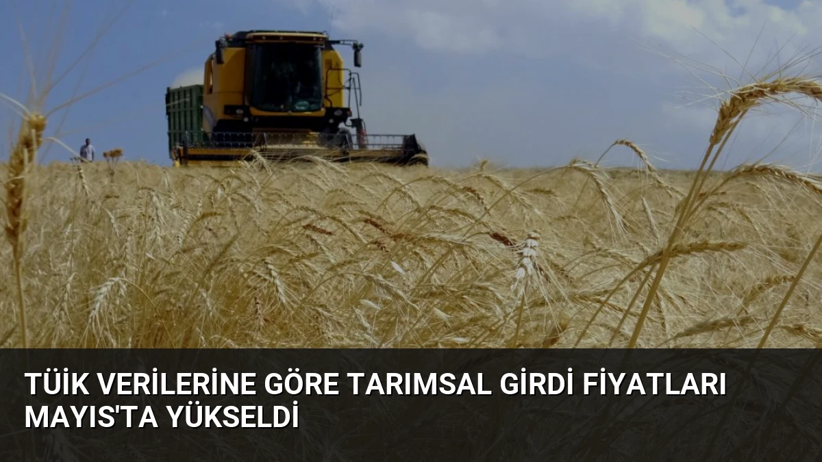 TÜİK Verilerine Göre Tarımsal Girdi Fiyatları Mayıs’ta Yükseldi