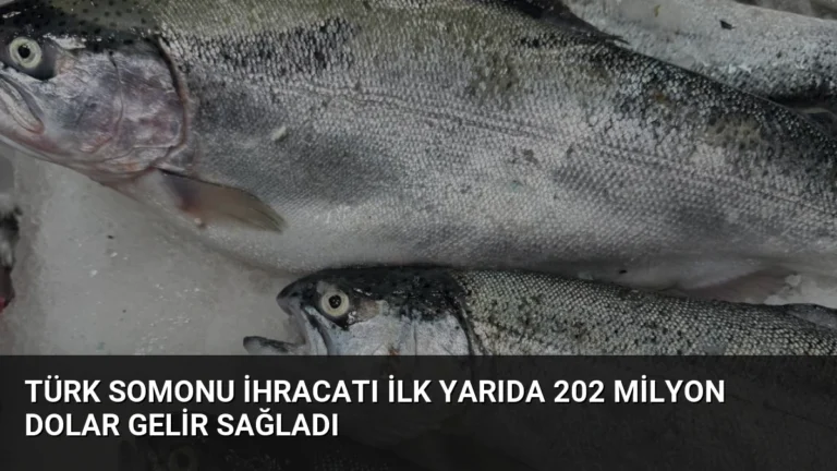 Türk Somonu İhracatı İlk Yarıda 202 Milyon Dolar Gelir Sağladı