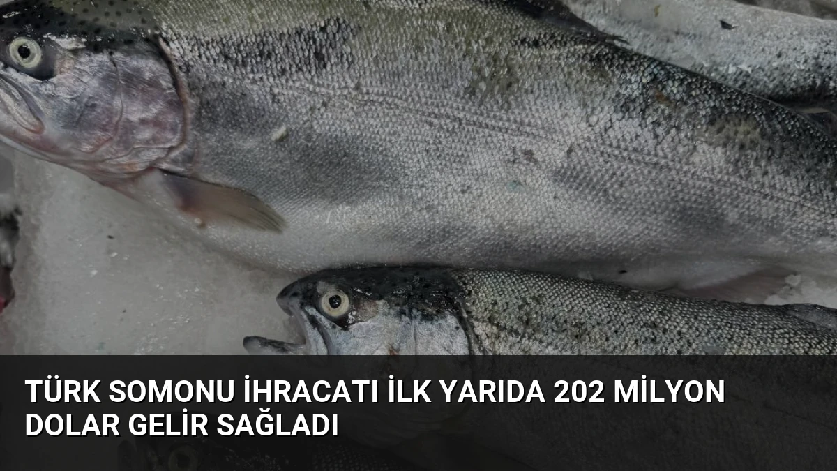 Türk Somonu İhracatı İlk Yarıda 202 Milyon Dolar Gelir Sağladı