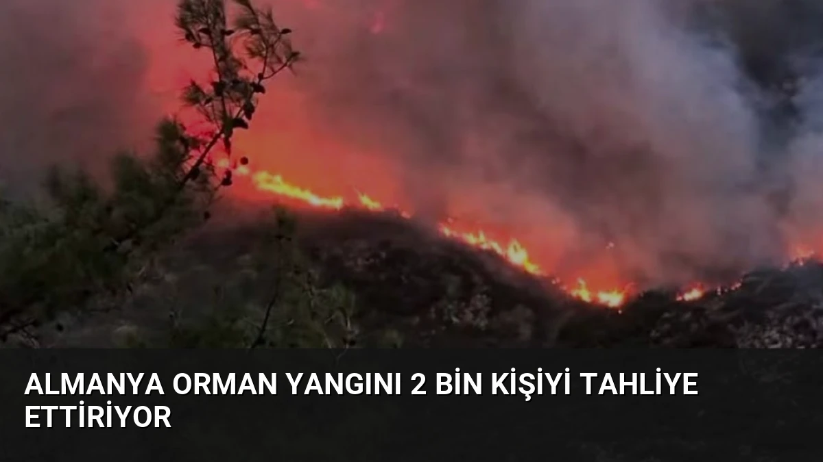 Almanya Orman Yangını 2 Bin Kişiyi Tahliye Ettiriyor