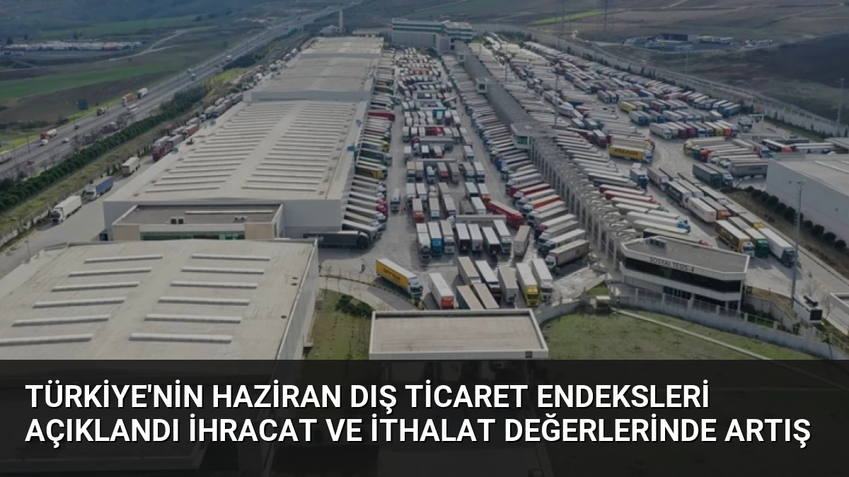 Türkiye’nin Haziran Dış Ticaret Endeksleri Açıklandı İhracat ve İthalat Değerlerinde Artış