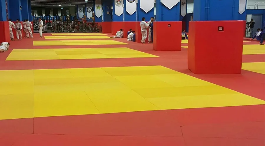 Judo Minderi