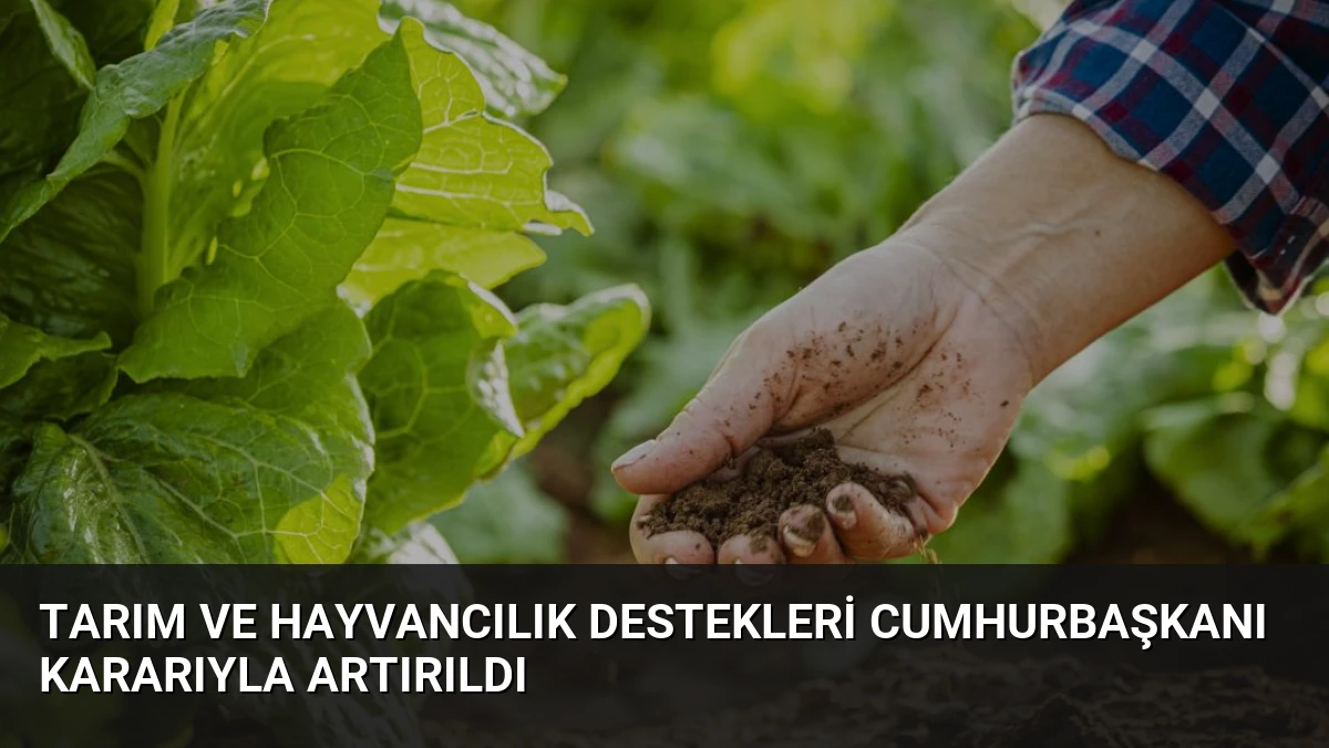Tarım ve Hayvancılık Destekleri Cumhurbaşkanı Kararıyla Artırıldı