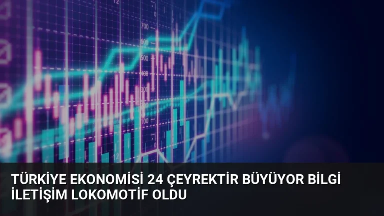 Türkiye Ekonomisi 24 Çeyrektir Büyüyor Bilgi İletişim Lokomotif Oldu