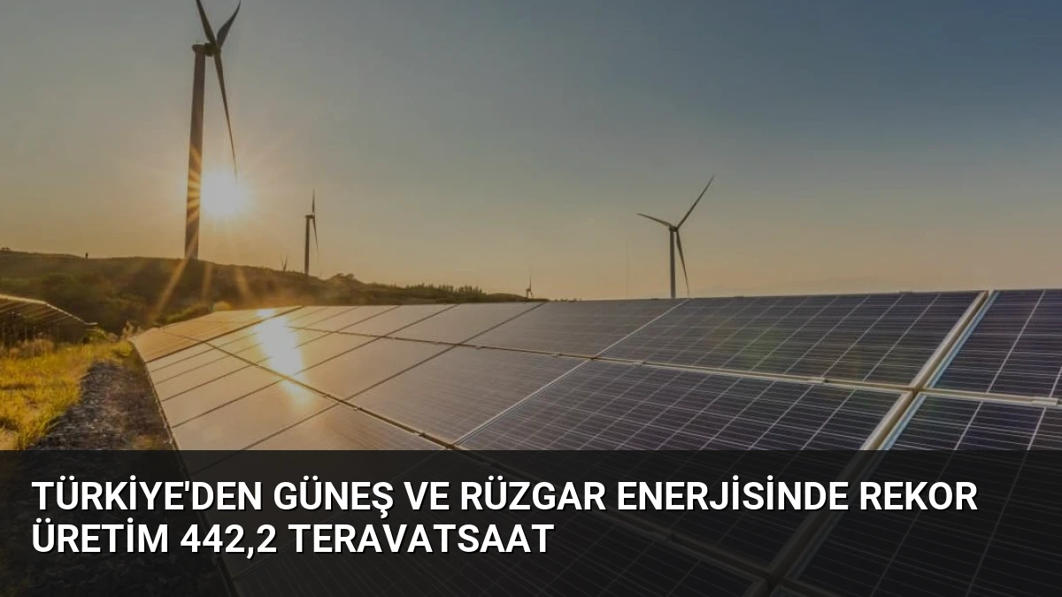 Türkiye’den Güneş ve Rüzgar Enerjisinde Rekor Üretim 442,2 Teravatsaat