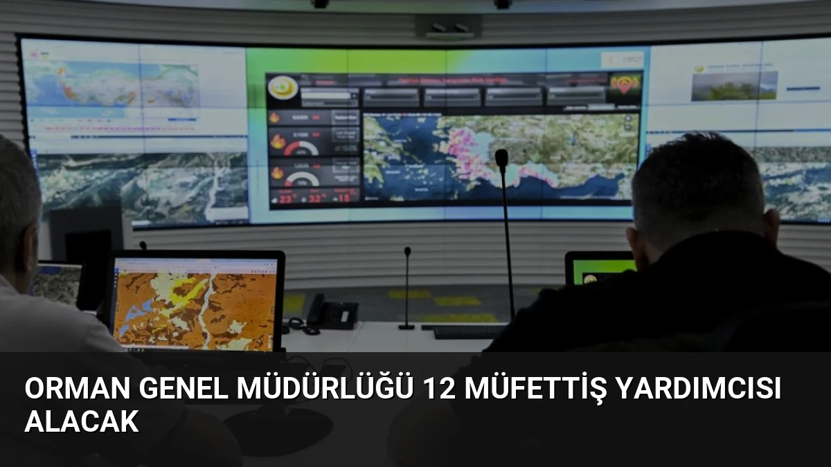 Orman Genel Müdürlüğü 12 Müfettiş Yardımcısı Alacak